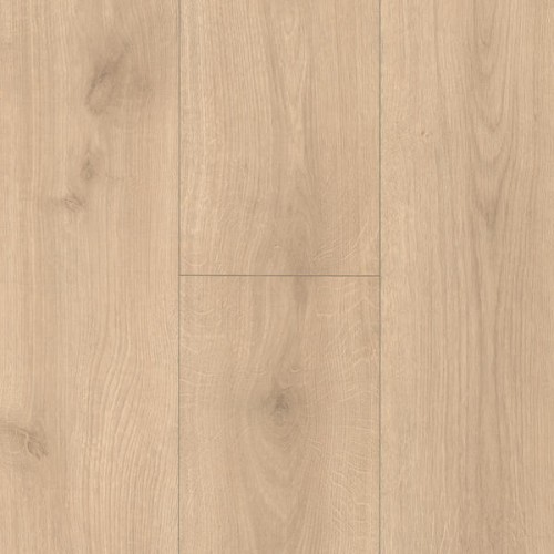 normannia oak