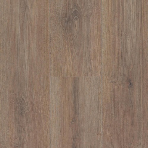 butterscotch oak1